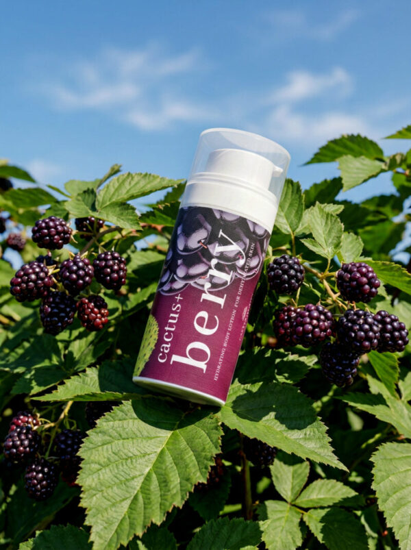 cactus + berry