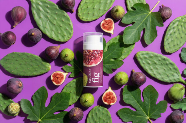 cactus + fig