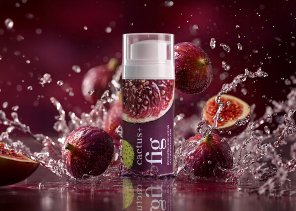 cactus + fig