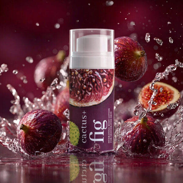 cactus + fig