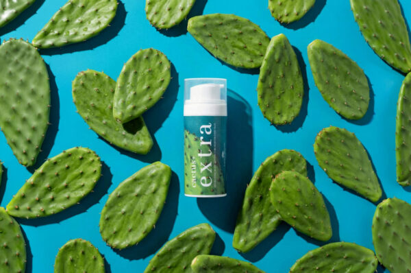 cactus + extra