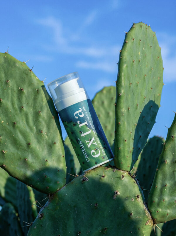 cactus + extra