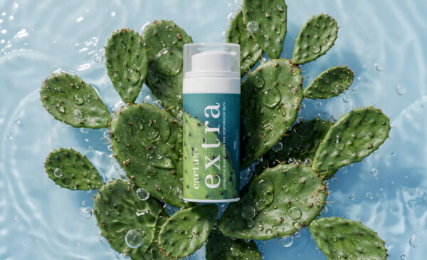 cactus + extra