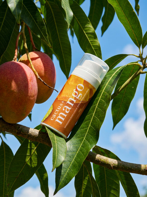 cactus + mango